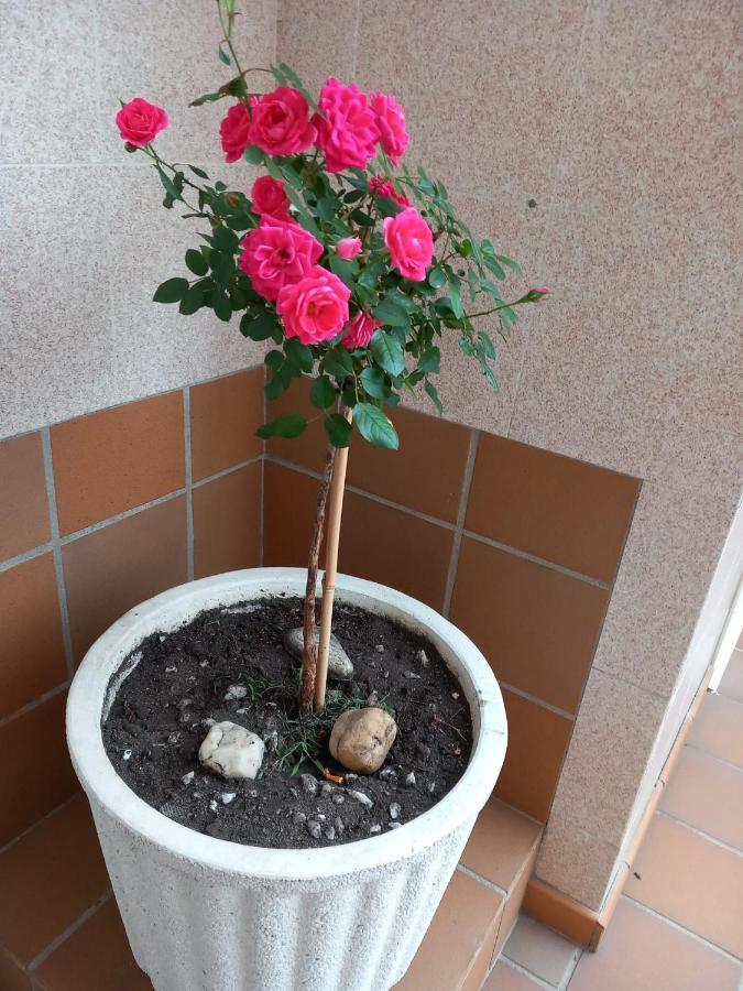Boa Vista Apartment Комбаро Екстериор снимка